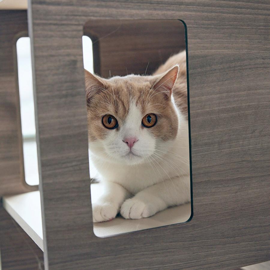 フランスペット キャットタワーパーテーション 犬 猫 ペット用品 ニトリ｜nitori-net｜11