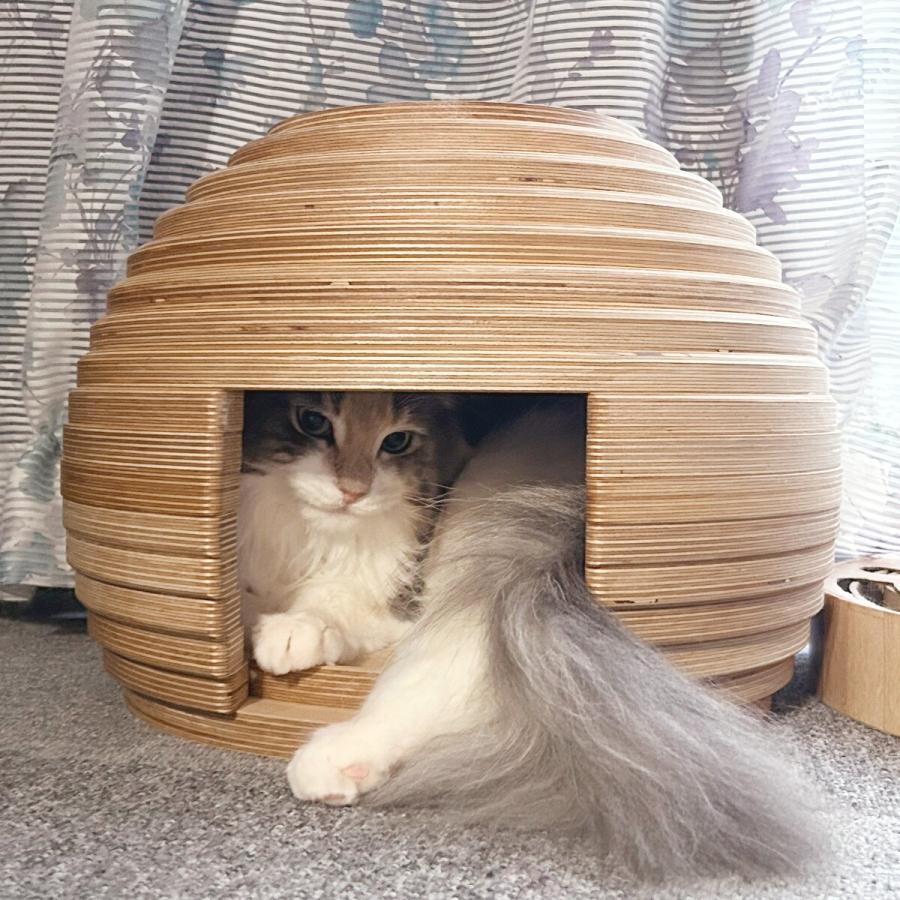 新作マット・カーペット フランスペットネコハウス（マリ） 犬 猫 ペット用品 ニトリ 【QGW7283790416】(26136円)