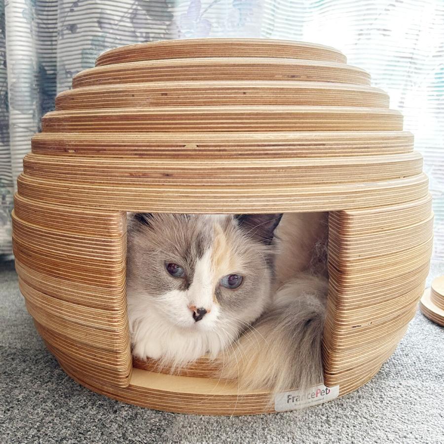 新作マット・カーペット フランスペットネコハウス（マリ） 犬 猫 ペット用品 ニトリ 【QGW7283790416】(26136円)