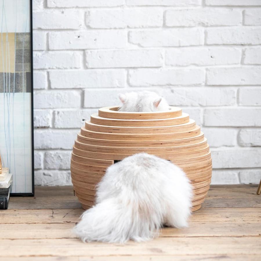 新作マット・カーペット フランスペットネコハウス（マリ） 犬 猫 ペット用品 ニトリ 【QGW7283790416】(26136円)