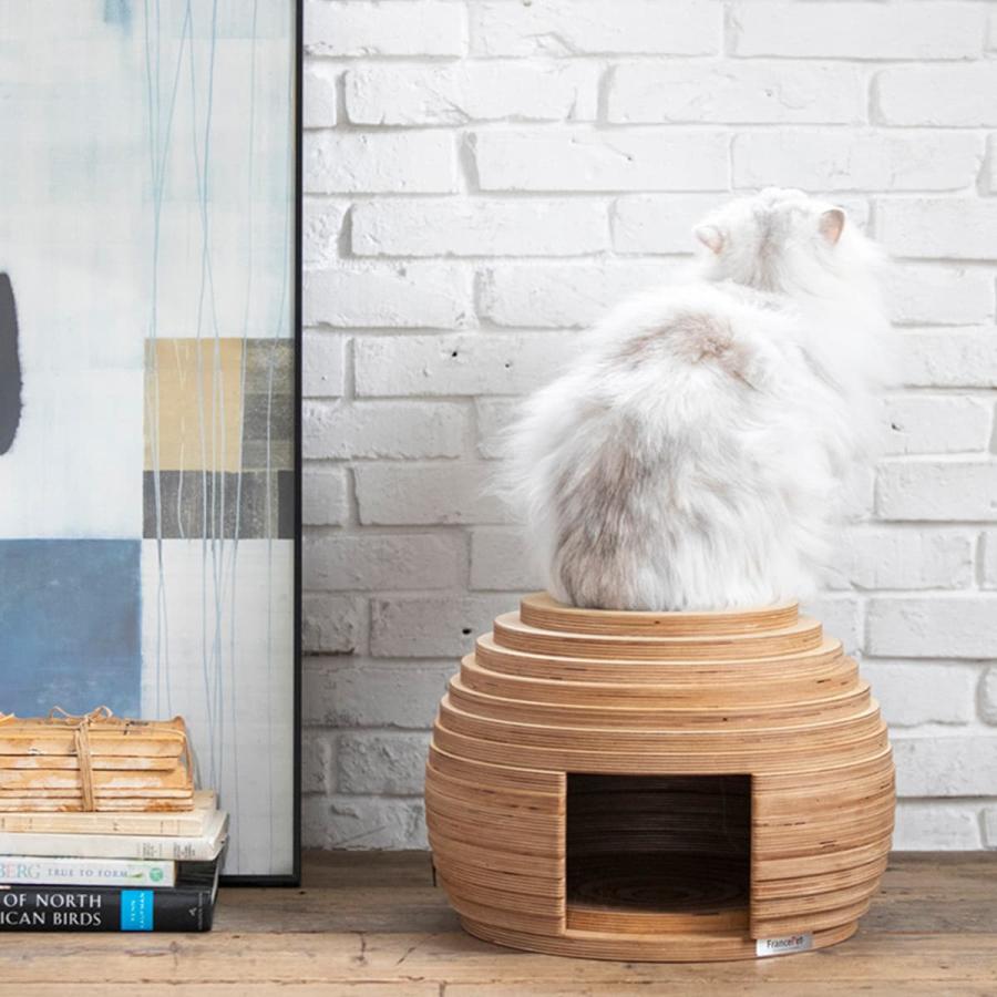 新作マット・カーペット フランスペットネコハウス（マリ） 犬 猫 ペット用品 ニトリ 【QGW7283790416】(26136円)