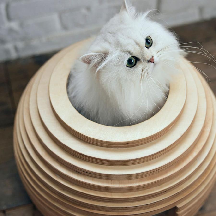 新作マット・カーペット フランスペットネコハウス（マリ） 犬 猫 ペット用品 ニトリ 【QGW7283790416】(26136円)