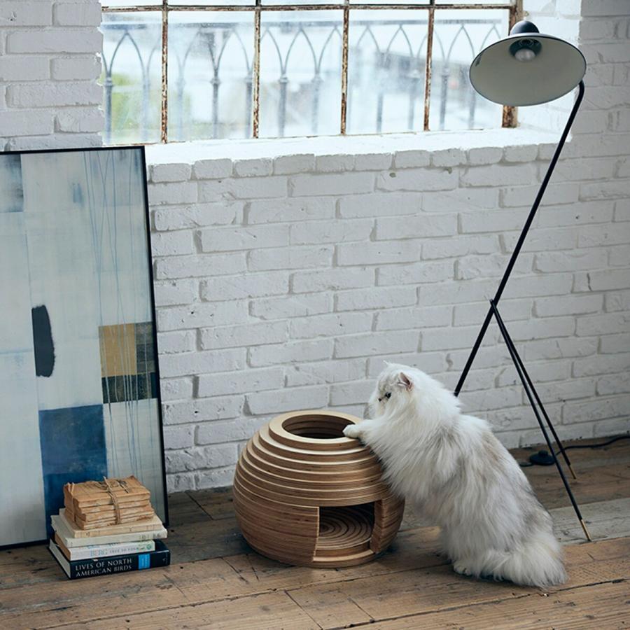 新作マット・カーペット フランスペットネコハウス（マリ） 犬 猫 ペット用品 ニトリ 【QGW7283790416】(26136円)