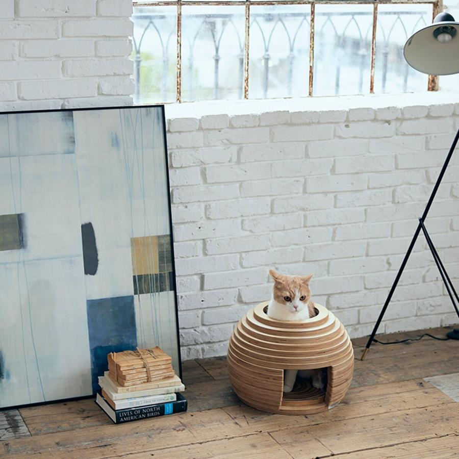 新作マット・カーペット フランスペットネコハウス（マリ） 犬 猫 ペット用品 ニトリ 【QGW7283790416】(26136円)