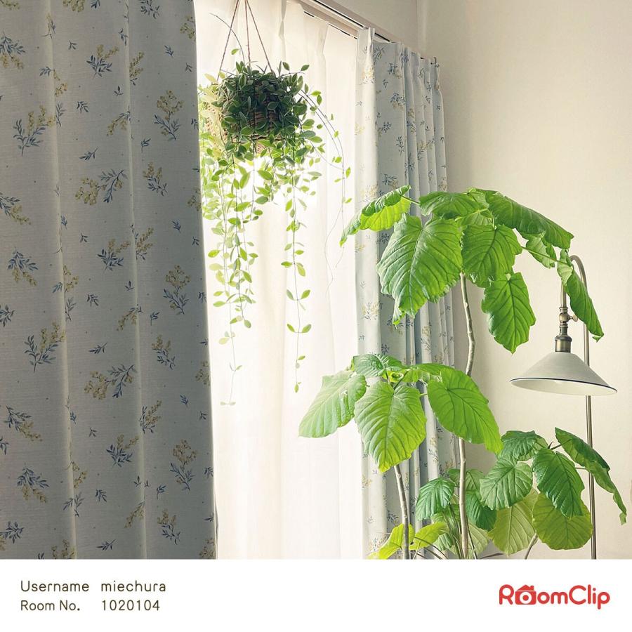 ニトリ（NITORI） 遮熱・遮光ドレープカーテン(ミモザ DH127 100X200X2