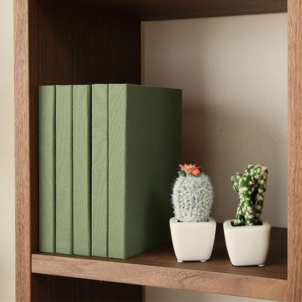 ニトリ（NITORI） 壁面ユニットオープンシェルフ(基本セット プロモMBR