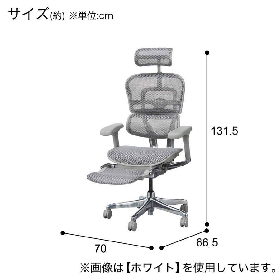 ニトリ ワークチェア(エルゴヒューマンEHP2-LPL BK/GF) オフィス ニトリ ワークチェア(エルゴヒューマンEHP2-LPL BK/GF) オフィス