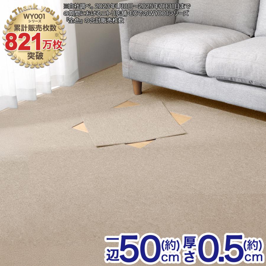 ニトリ（NITORI） 3帖 洗えるタイルカーペット 50×50cm 24枚入 (WY001