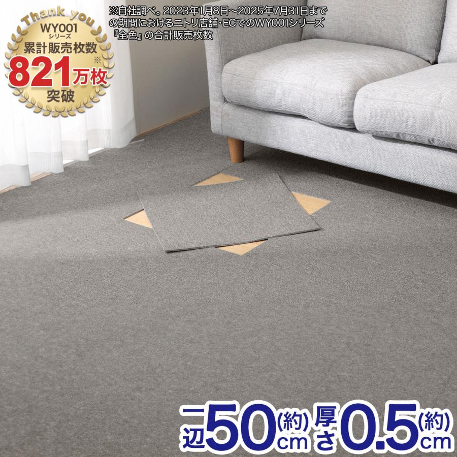 ニトリ（NITORI） 3帖 洗えるタイルカーペット 50×50cm 24枚入 (WY001 