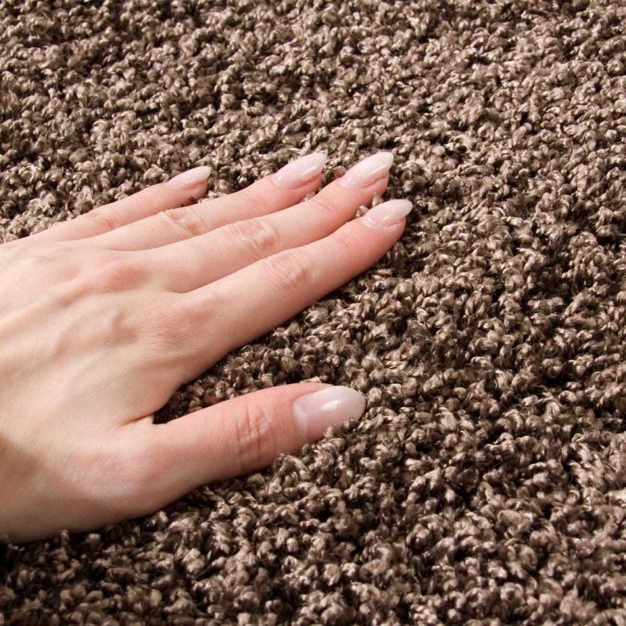 ニトリ（NITORI） ダニよけ・抗菌防臭・防炎カーペット(エアープラス