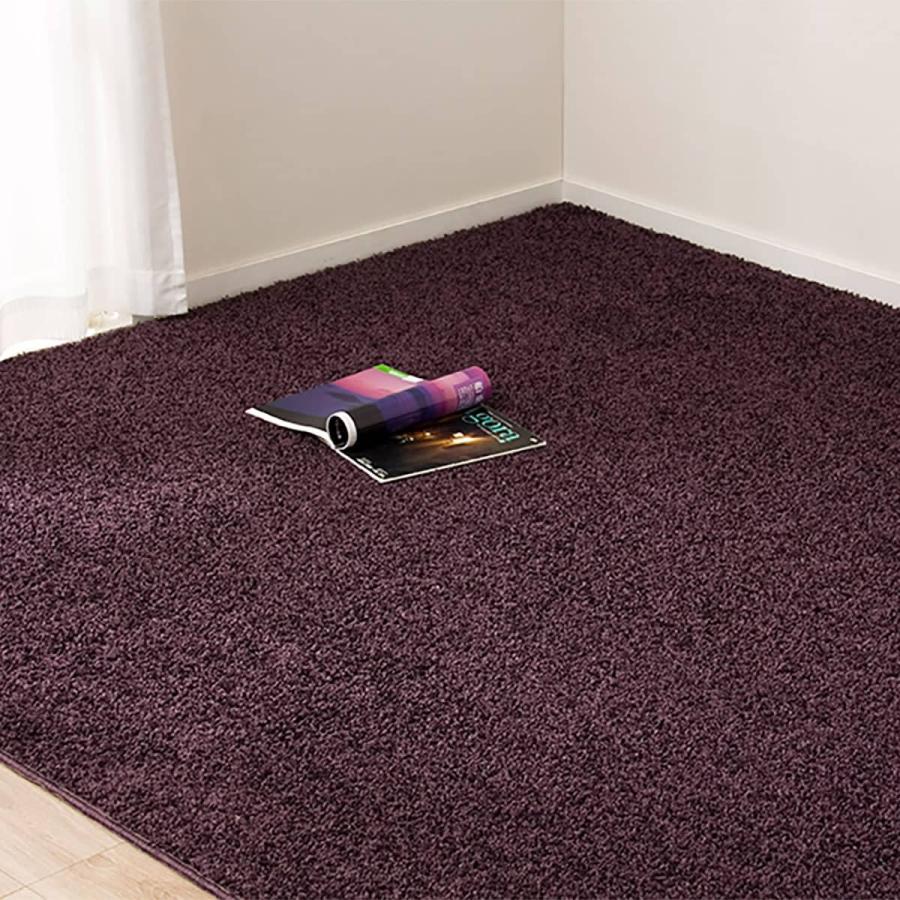 ニトリ（NITORI） ダニよけ・抗菌防臭・防炎カーペット(エアープラス