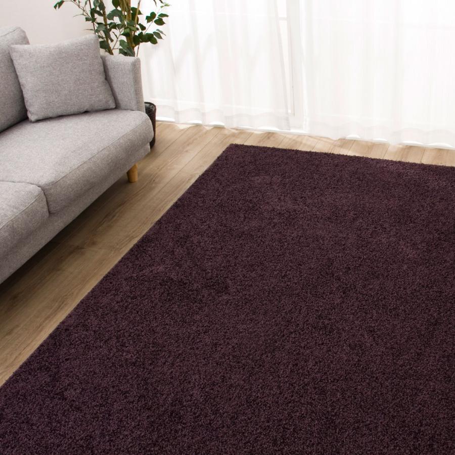 ニトリ（NITORI） ダニよけ・抗菌防臭・防炎カーペット(エアープラス