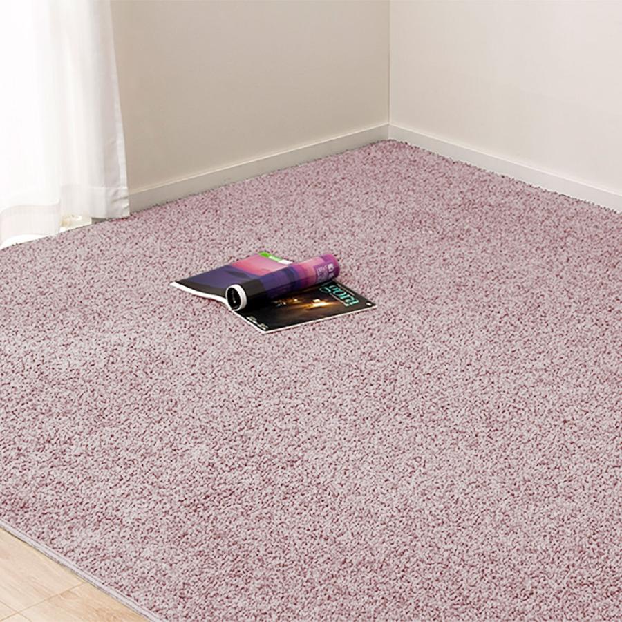 防ダニ 抗菌防臭 防炎 消臭カーペット エアープラスro 6j ニトリ 1年保証 玄関先迄納品 ニトリ Yahoo 店 通販 Yahoo ショッピング