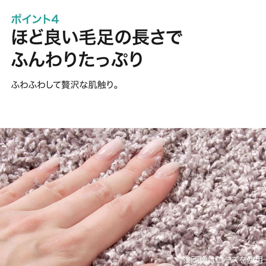 ニトリ（NITORI） ダニよけ・抗菌防臭・防炎カーペット(エアープラス