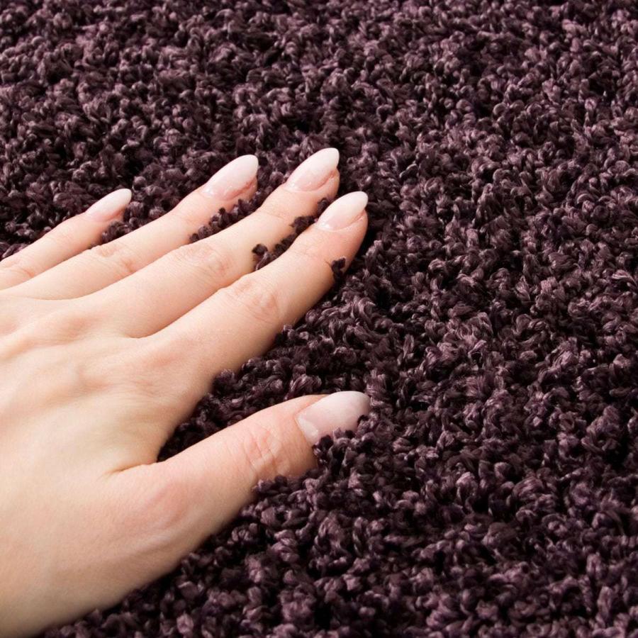 ニトリ（NITORI） ダニよけ・抗菌防臭・防炎カーペット(エアープラス