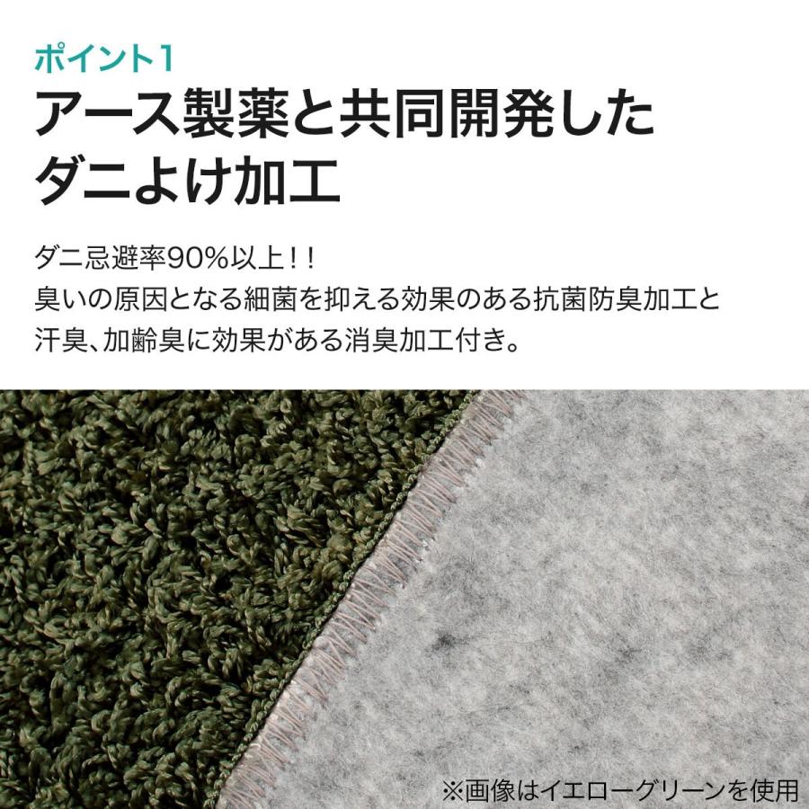 ニトリ ダニよけ・抗菌防臭・防炎カーペット(エアープラスRPU