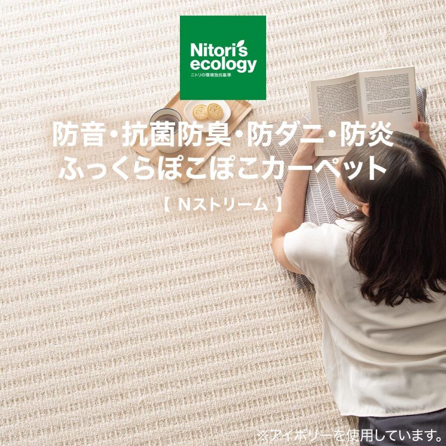 ニトリ（NITORI） 防音・抗菌防臭・防ダニ・防炎カーペット( N