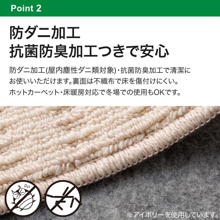 ニトリ（NITORI） 防音・抗菌防臭・防ダニ・防炎カーペット( N