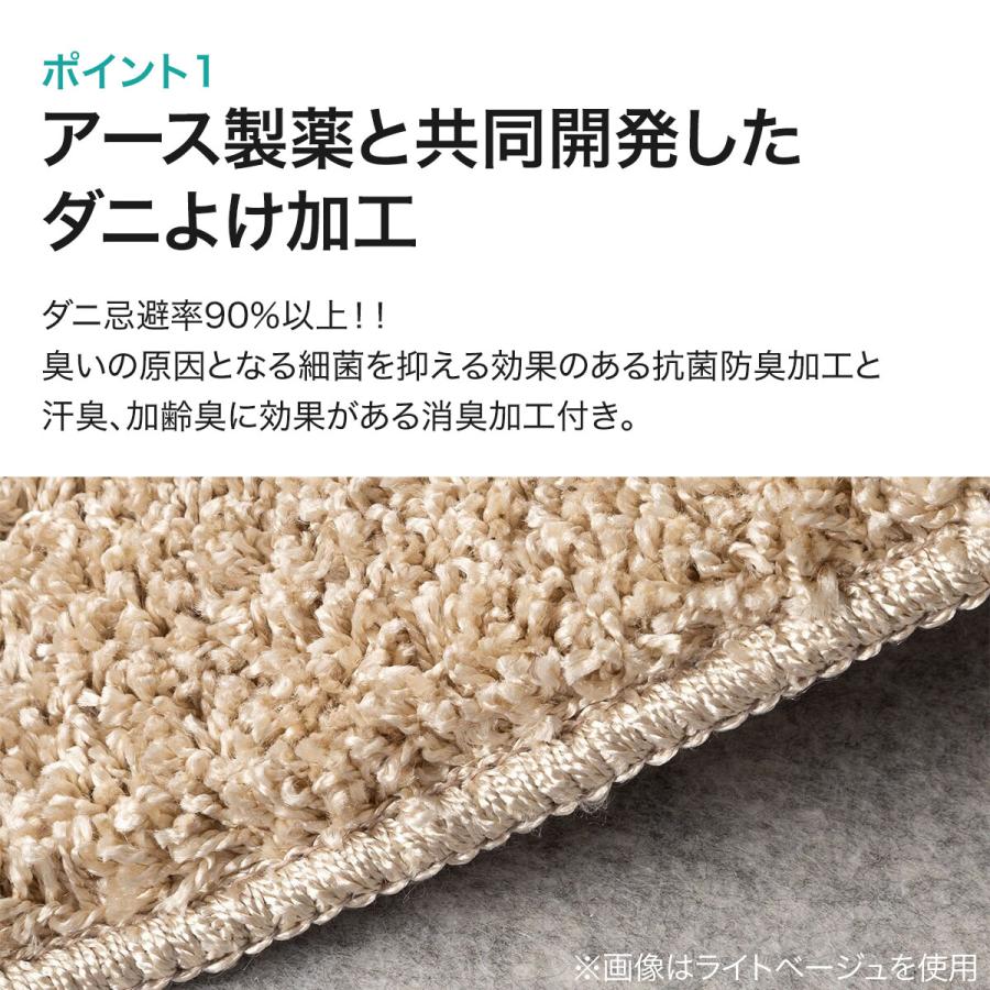 ニトリ（NITORI） ダニよけ・抗菌防臭・防炎カーペット(エアープラス