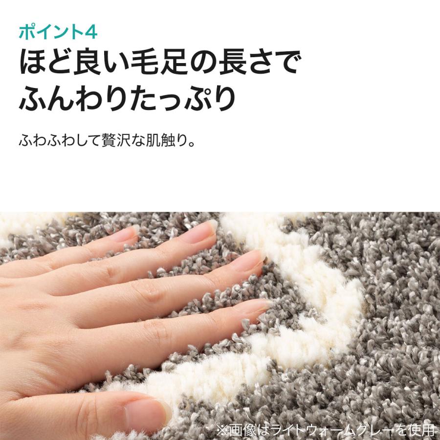 ニトリ（NITORI） ダニよけ・抗菌防臭・防炎カーペット(エアープラス