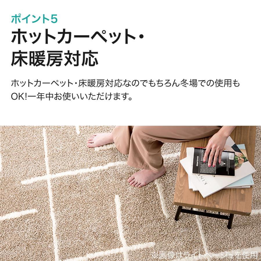ニトリ（NITORI） ダニよけ・抗菌防臭・防炎カーペット(エアープラス