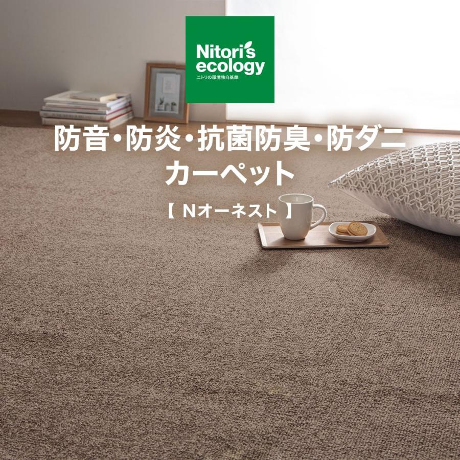 ニトリ　トルコ製　絨毯　ラグ　カーペット160×230 大判 4550317455544s01.jpg