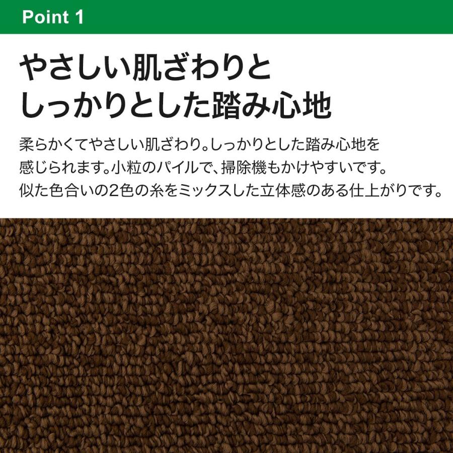 ニトリ（NITORI） 防音・防炎・抗菌防臭・防ダニカーペット(N