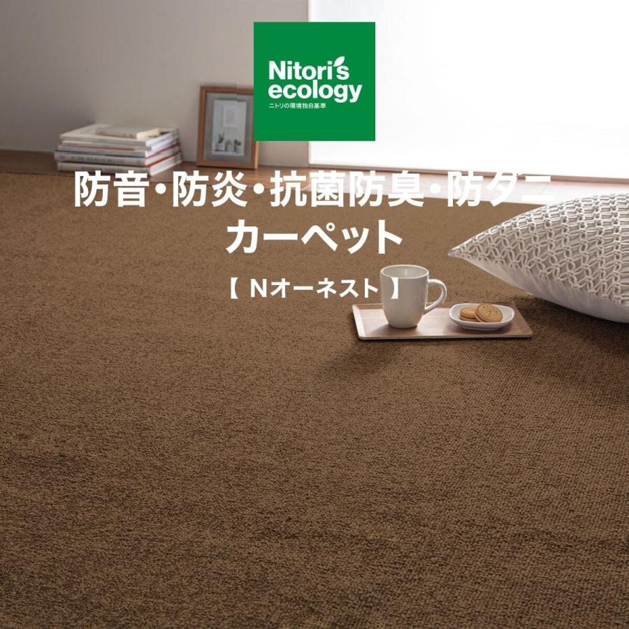 ニトリ 防音・防炎・抗菌防臭・防ダニカーペット(Nオーネスト BR