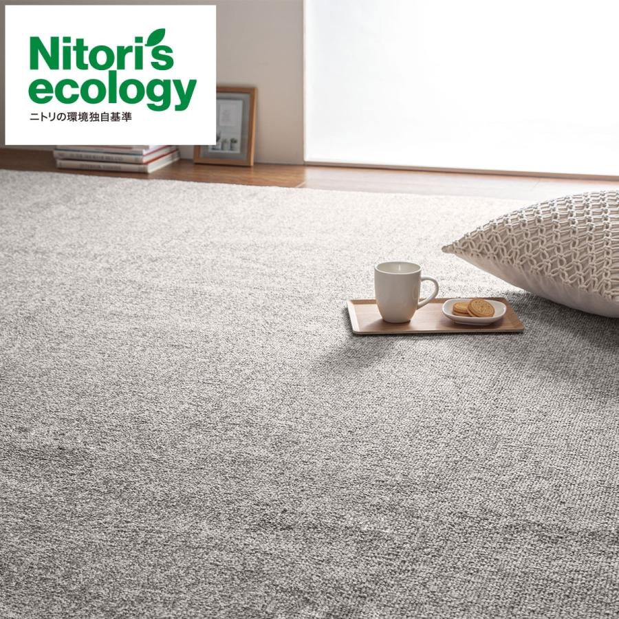 ニトリ（NITORI） 防音・防炎・抗菌防臭・防ダニカーペット(N