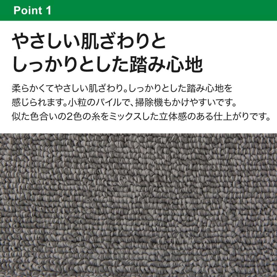 ニトリ（NITORI） 防音・防炎・抗菌防臭・防ダニカーペット(N