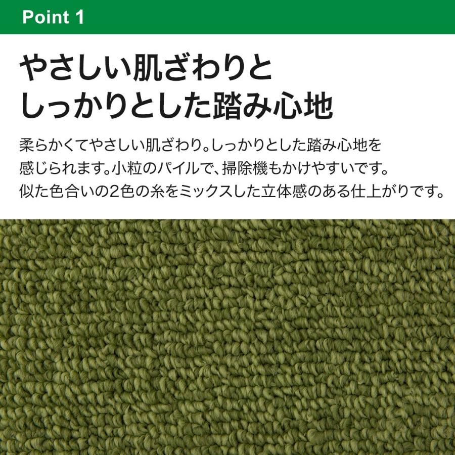ニトリ（NITORI） 防音・防炎・抗菌防臭・防ダニカーペット(N