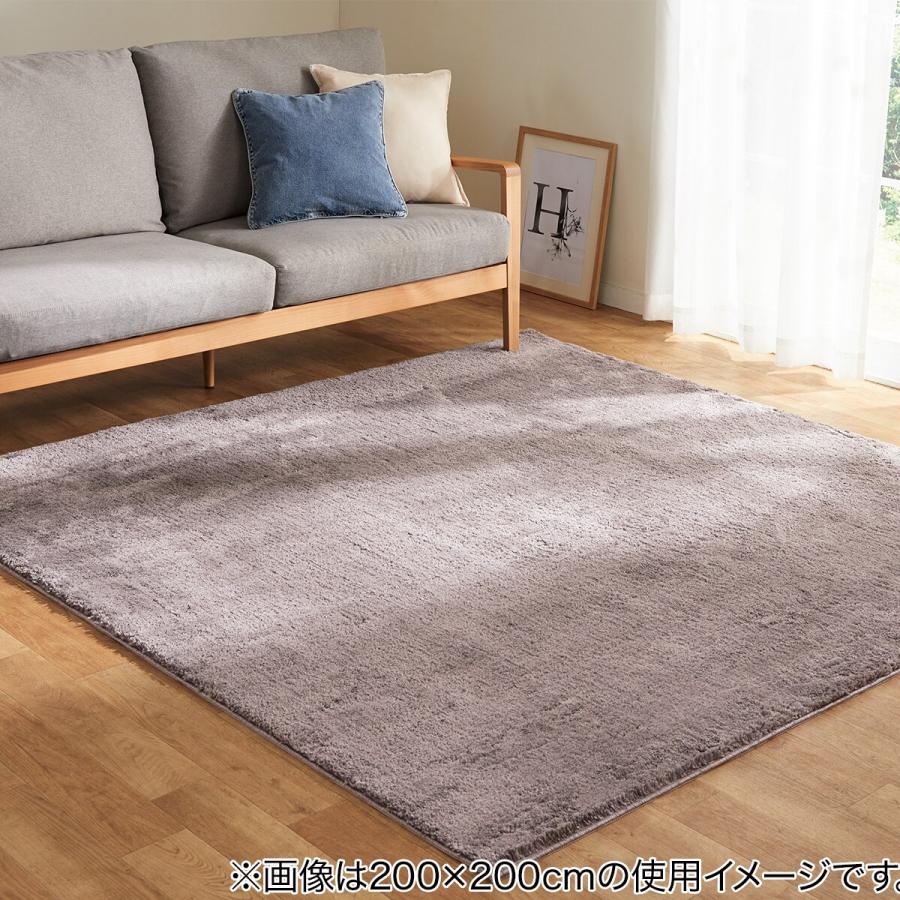 カーペット ナイロンムートン2mo 140x0 ニトリ 玄関先迄納品 1年保証 ニトリ Yahoo 店 通販 Yahoo ショッピング