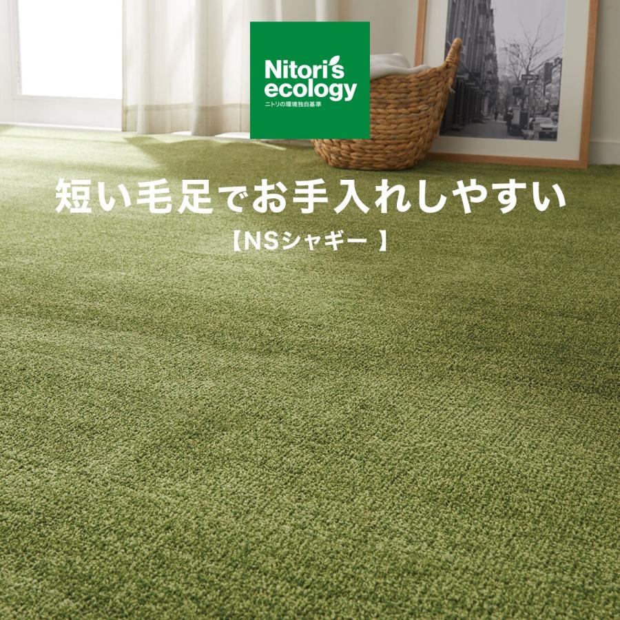 NITORI アクセントラグ Sシャギー 約160×230cm グリーン NITORI アクセントラグ Sシャギー 約160×230cm グリーン ニトリ