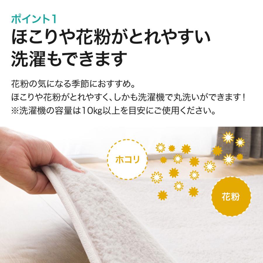 ニトリ（NITORI） ほこりがとれやすい洗えるラグ(ファーラグ 200X240