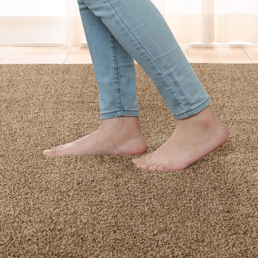 ニトリ（NITORI） ほこりが取れやすい洗えるラグ(Nクリーンウォッシュ