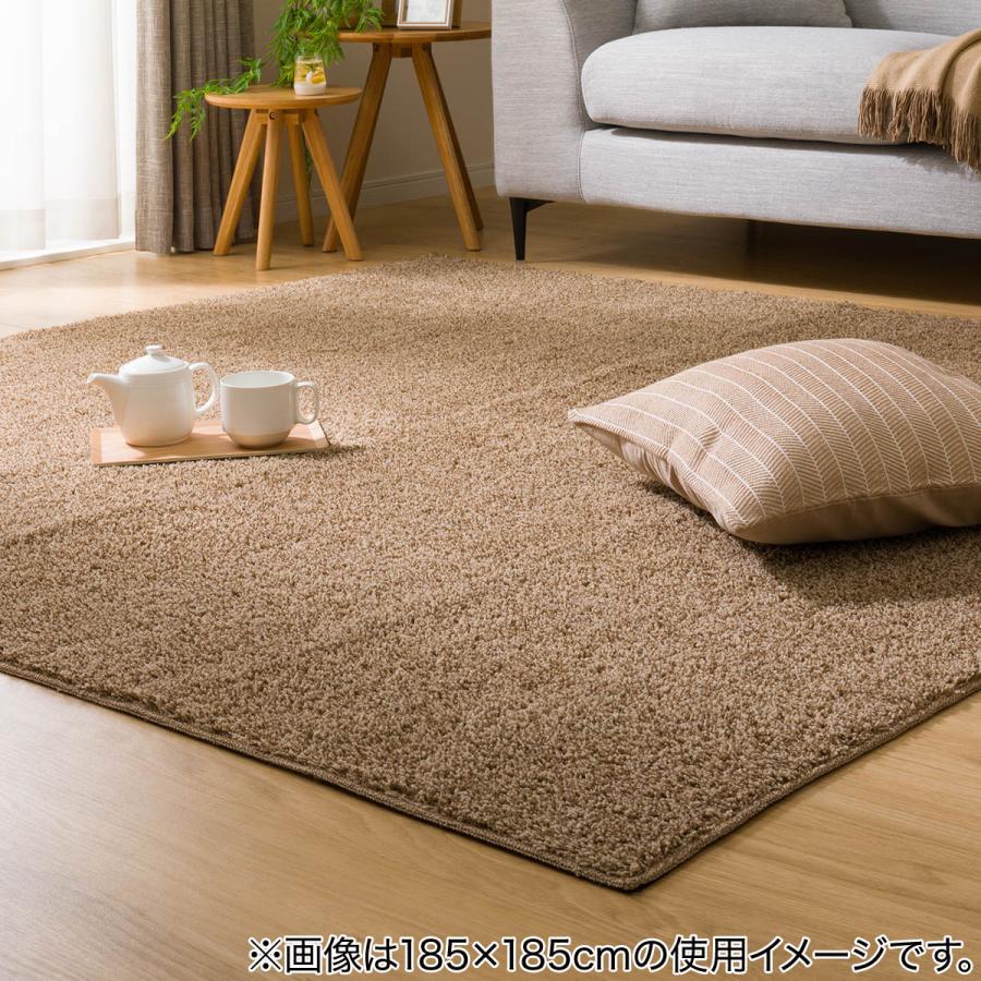 ニトリ（NITORI） ほこりが取れやすい洗えるラグ(Nクリーンウォッシュ