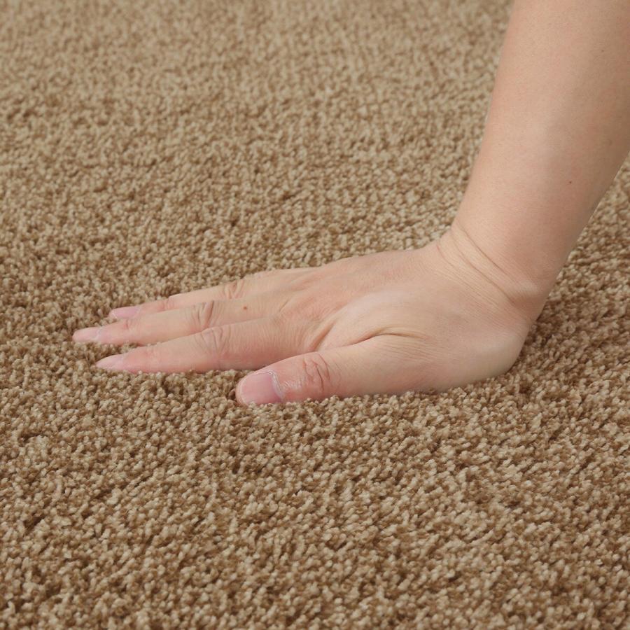 ニトリ（NITORI） ほこりが取れやすい洗えるラグ(Nクリーンウォッシュ