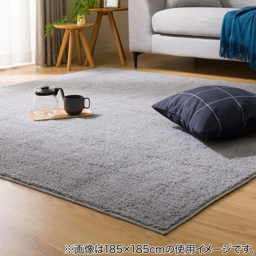 ニトリ（NITORI） ほこりが取れやすい洗えるラグ(Nクリーンウォッシュ