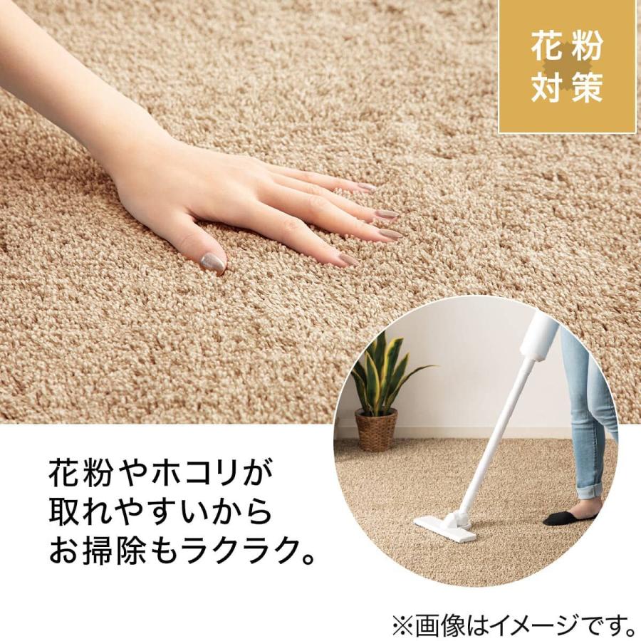 ニトリ ほこりが取れやすい 洗える ラグ Nクリーンウォッシュ 185X185c ほこりが取れやすい洗えるラグ(Nクリーンウォッシュ YGR 185X185