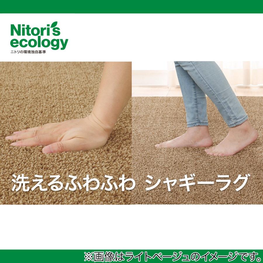 ニトリ（NITORI） ほこりが取れやすい洗えるラグ(Nクリーンウォッシュ