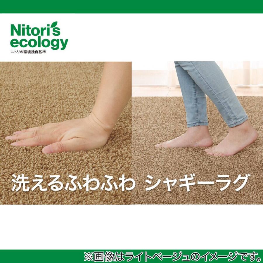 ニトリ（NITORI） ほこりが取れやすい洗えるラグ(Nクリーンウォッシュ
