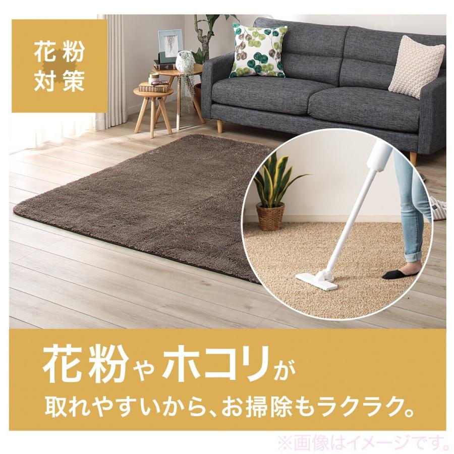 ニトリ ほこりが取れやすい洗えるラグ(Nクリーンウォッシュ GY ニトリ ほこりが取れやすい洗えるラグ(Nクリーンウォッシュ GY