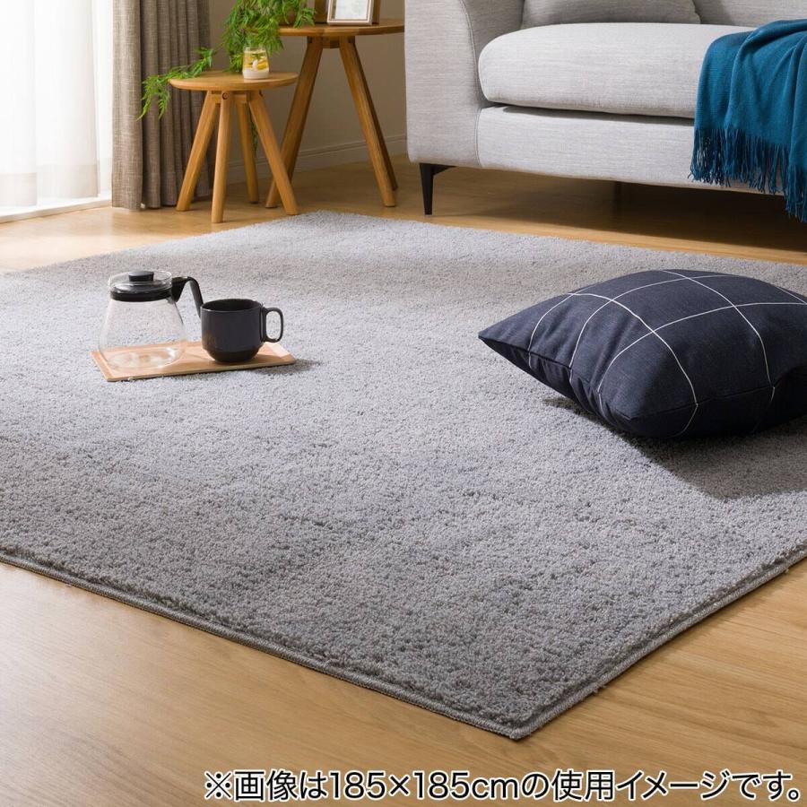 ニトリ（NITORI） ほこりが取れやすい洗えるラグ(Nクリーンウォッシュ
