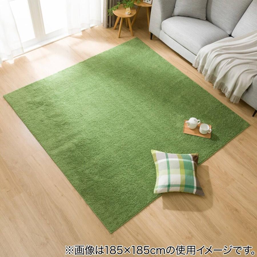 【特価商品】ニトリ ほこりが取れやすい 洗える ラグ Nクリーンウォッシュ 13 nitori-net_7224062