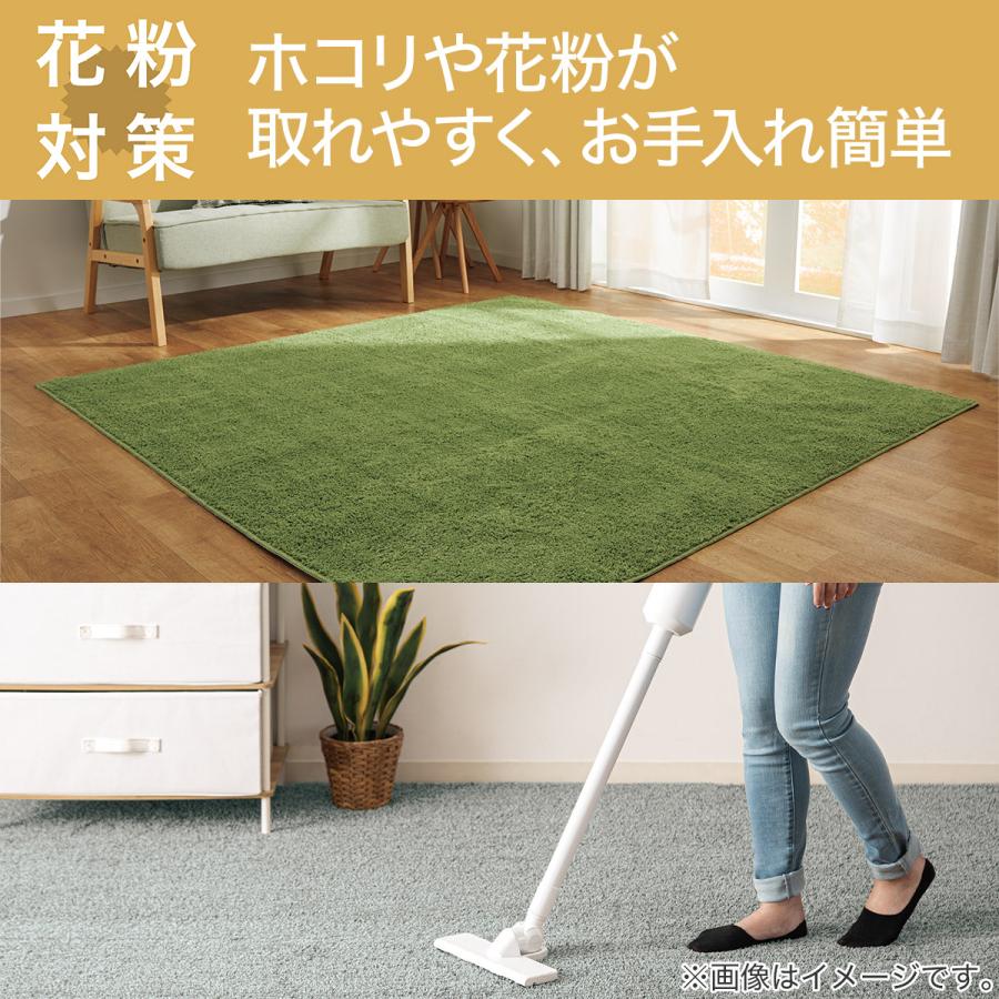 ニトリ（NITORI） ほこりが取れやすい洗えるラグ(Nクリーンウォッシュ