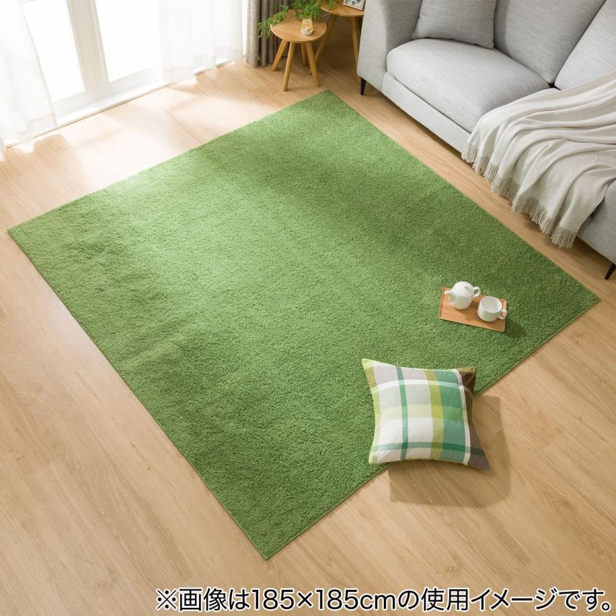 ほこりが取れやすい洗えるラグ(Nクリーンウォッシュ YGR 200X240) 無地 おしゃれ カーペット ニトリ 創業祭価格：1/6まで