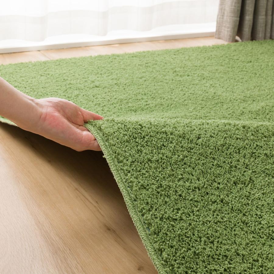 ほこりが取れやすい洗えるラグ(Nクリーンウォッシュ YGR 200X240) 無地 おしゃれ カーペット ニトリ 創業祭価格：1/6まで