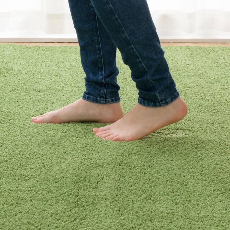 ニトリ（NITORI） ほこりが取れやすい洗えるラグ(Nクリーンウォッシュ