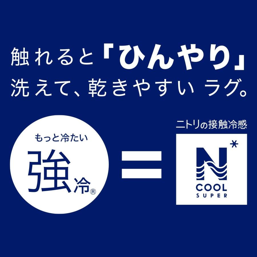 洗える接触冷感ラグ Nクールsp N S Gy 185x240 Tc08 ニトリ 玄関先迄納品 1年保証 ニトリ Yahoo 店 通販 Yahoo ショッピング