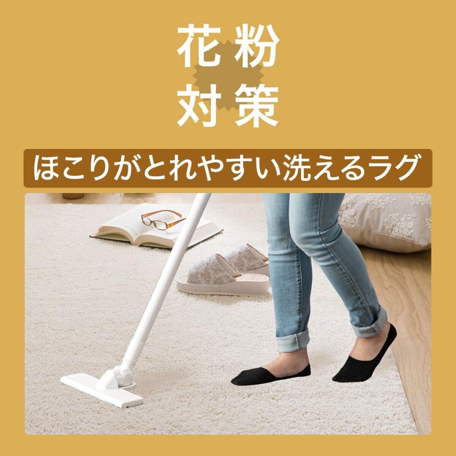ニトリ　ほこりが取れやすい　洗えるラグ 722578601.jpg?fitin=720:720